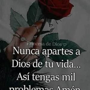 Meet your Posher, Celia